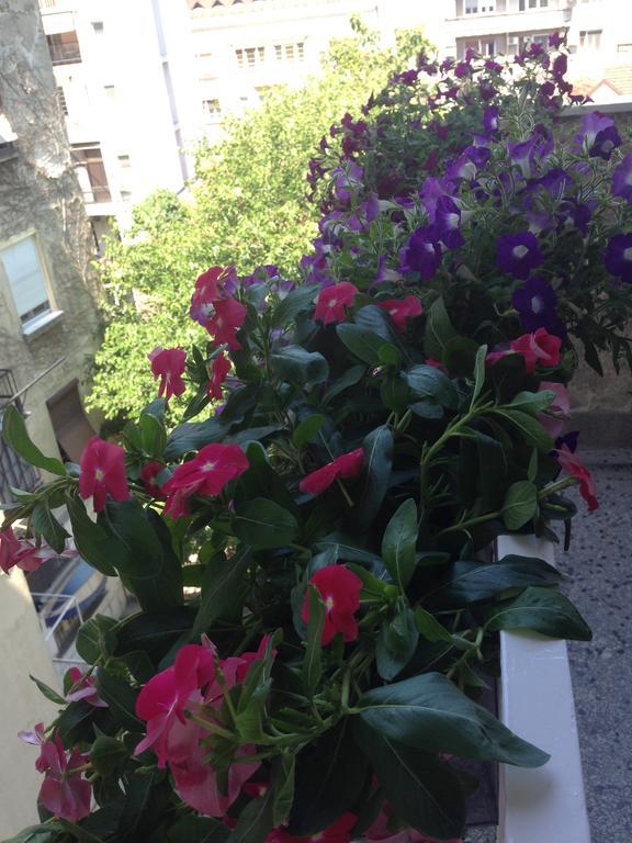 Apartment Bohemian Rhapsody Belgrád Szoba fotó